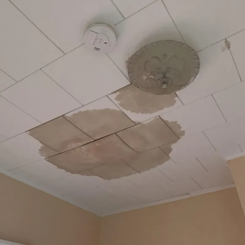 Ceiling Water Damage Repair in Martinsburg, WV