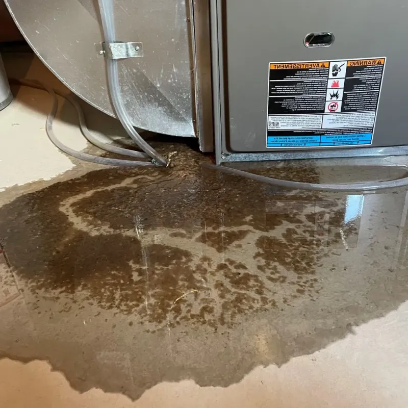 Pipe Burst and Leak Restoration in Martinsburg, WV