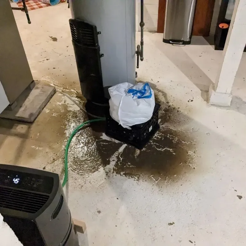 Sewage Backup Cleanup Service in Martinsburg, WV